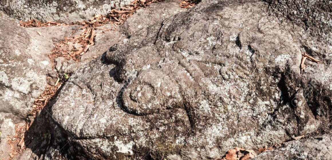 Sculptures at archaeological site Los Sapos near Copan Ruinas, Honduras